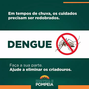 dengue DHS